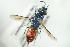  ( - HYMNI2352)  @11 [ ] CreativeCommons - Attribution Non-Commercial Share-Alike (2017) Arnstein Staverlokk Norwegian Institute of Nature Research