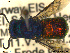  ( - Chrysis102)  @13 [ ] CreativeCommons - Attribution Non-Commercial Share-Alike (2013) Arnstein Staverlokk Norwegian Institute of Nature Research