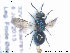  ( - NOCHR212)  @13 [ ] CreativeCommons - Attribution Non-Commercial Share-Alike (2013) Arnstein Staverlokk Norwegian Institute of Nature Research