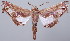  ( - BC-JB0006)  @11 [ ] Copyright (2010) Unspecified Research Collection of Jerome Barbut
