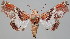  ( - BC-JB0019)  @15 [ ] Copyright (2010) Unspecified Research Collection of Jerome Barbut