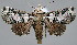 ( - BC-JB0024)  @11 [ ] Copyright (2010) Unspecified Research Collection of Jerome Barbut