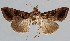  ( - BC-JB0036)  @13 [ ] Copyright (2010) Unspecified Research Collection of Jerome Barbut