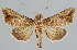  ( - BC-JB0062)  @14 [ ] Copyright (2010) Unspecified Research Collection of Jerome Barbut