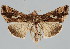  ( - BC-JB0068)  @14 [ ] Copyright (2010) Unspecified Research Collection of Jerome Barbut