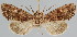  ( - BC-JB0079)  @12 [ ] Copyright (2010) Unspecified Research Collection of Jerome Barbut