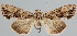  ( - BC-JB0083)  @11 [ ] Copyright (2010) Unspecified Research Collection of Jerome Barbut