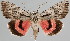  ( - BC-JB0089)  @14 [ ] Copyright (2010) Unspecified Research Collection of Jerome Barbut