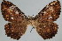  ( - BC-JB0092)  @14 [ ] Copyright (2010) Unspecified Research Collection of Jerome Barbut