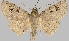  ( - BC-JB0497)  @11 [ ] Copyright (2023) Jérôme Barbut Museum national d'Histoire naturelle