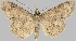  ( - BC-JB0511)  @11 [ ] Copyright (2023) Jérôme Barbut Museum national d'Histoire naturelle