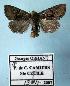  ( - BC-HAXNoctu0048)  @13 [ ] Copyright (2010) Unspecified Research Collection of Jean Haxaire