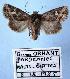  ( - BC-HAXNoctu0081)  @11 [ ] Copyright (2010) Unspecified Research Collection of Jean Haxaire