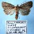  ( - BC-HAXNoctu0088)  @11 [ ] Copyright (2010) Unspecified Research Collection of Jean Haxaire