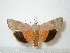 ( - BC-HAXNoctu0125)  @13 [ ] Copyright (2010) Unspecified Research Collection of Jean Haxaire