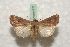  ( - BC-HAXNoctu0526)  @14 [ ] Copyright (2010) Unspecified Research Collection of Jean Haxaire