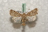  ( - BC-HAXNoctu0530)  @14 [ ] Copyright (2010) Unspecified Research Collection of Jean Haxaire
