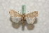  ( - BC-HAXNoctu0539)  @13 [ ] Copyright (2010) Unspecified Research Collection of Jean Haxaire