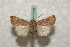  ( - BC-HAXNoctu0540)  @13 [ ] Copyright (2010) Unspecified Research Collection of Jean Haxaire