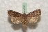  ( - BC-HAXNoctu0556)  @14 [ ] Copyright (2010) Unspecified Research Collection of Jean Haxaire