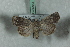  ( - BC-HAXNoctu0612)  @13 [ ] Copyright (2019) Jean Haxaire Research Collection of Jean Haxaire