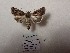  ( - BC-HAXNoctu0743)  @11 [ ] Unspecified (default): All Rights Reserved  Unspecified Unspecified