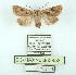 ( - BC-HAXNoctu0858)  @11 [ ] CC0 (2025) Jean Haxaire Research collection of Jean Haxaire