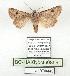  ( - BC-HAXNoctu0859)  @11 [ ] CC0 (2025) Jean Haxaire Research collection of Jean Haxaire