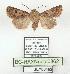  ( - BC-HAXNoctu0862)  @11 [ ] CC0 (2025) Jean Haxaire Research collection of Jean Haxaire