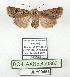  ( - BC-HAXNoctu0863)  @11 [ ] CC0 (2025) Jean Haxaire Research collection of Jean Haxaire