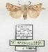  ( - BC-HAXNoctu0864)  @11 [ ] CC0 (2025) Jean Haxaire Research collection of Jean Haxaire