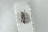  ( - NOCOL1200)  @13 [ ] CreativeCommons - Attribution Non-Commercial Share-Alike (2018) Arnstein Staverlokk Norwegian Institute of Nature Research