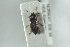  ( - NOCOL1204)  @12 [ ] CreativeCommons - Attribution Non-Commercial Share-Alike (2018) Arnstein Staverlokk Norwegian Institute of Nature Research