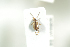 ( - NOCOL528)  @11 [ ] CreativeCommons - Attribution Non-Commercial Share-Alike (2016) Arnstein Staverlokk Norwegian Institute of Nature Research