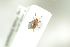  ( - NOCOL563)  @13 [ ] CreativeCommons - Attribution Non-Commercial Share-Alike (2016) Arnstein Staverlokk Norwegian Institute of Nature Research