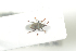  ( - NOCOL750)  @12 [ ] CreativeCommons - Attribution Non-Commercial Share-Alike (2016) Arnstein Staverlokk Norwegian Institute of Nature Research