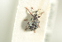  ( - NOCOL830)  @11 [ ] CreativeCommons - Attribution Non-Commercial Share-Alike (2016) Arnstein Staverlokk Norwegian Institute of Nature Research