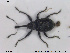  ( - NOCOL1421)  @11 [ ] CreativeCommons - Attribution Share-Alike (2019) NTNU University Museum, Department of Natural History NTNU University Museum, Department of Natural History