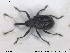  ( - NOCOL1422)  @11 [ ] CreativeCommons - Attribution Share-Alike (2019) NTNU University Museum, Department of Natural History NTNU University Museum, Department of Natural History