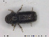  ( - NOCOL1779)  @11 [ ] CreativeCommons - Attribution Share-Alike (2019) NTNU University Museum, Department of Natural History NTNU University Museum, Department of Natural History