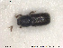  ( - NOCOL1813)  @11 [ ] CreativeCommons - Attribution Share-Alike (2019) NTNU University Museum, Department of Natural History NTNU University Museum, Department of Natural History