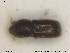  ( - NOCOL1815)  @11 [ ] CreativeCommons - Attribution Share-Alike (2019) NTNU University Museum, Department of Natural History NTNU University Museum, Department of Natural History