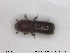  ( - NOCOL1816)  @11 [ ] CreativeCommons - Attribution Share-Alike (2019) NTNU University Museum, Department of Natural History NTNU University Museum, Department of Natural History
