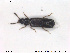  ( - NOCOL1830)  @11 [ ] CreativeCommons - Attribution Share-Alike (2019) NTNU University Museum, Department of Natural History NTNU University Museum, Department of Natural History