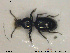  ( - NOCOL1848)  @11 [ ] CreativeCommons - Attribution Share-Alike (2019) NTNU University Museum, Department of Natural History NTNU University Museum, Department of Natural History