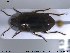  ( - NOCOL1953)  @11 [ ] CreativeCommons - Attribution Share-Alike (2019) NTNU University Museum, Department of Natural History NTNU University Museum, Department of Natural History
