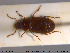  ( - NOCOL1992)  @11 [ ] CreativeCommons - Attribution Share-Alike (2019) NTNU University Museum, Department of Natural History NTNU University Museum, Department of Natural History