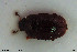  ( - NOCOL2939)  @11 [ ] Creative Commons  Attribution Non-Commercial Share-Alike (2022) NTNU University Museum, Department of Natural History NTNU University Museum, Department of Natural History