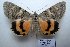  ( - 20358-011013-CH)  @14 [ ] Copyright (2013) Aidas Saldaitis Vilinus Ecological Institute