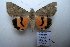  ( - 20359-100613-CH)  @13 [ ] Copyright (2013) Aidas Saldaitis Vilinus Ecological Institute